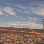 Picture Of Windmills Fields